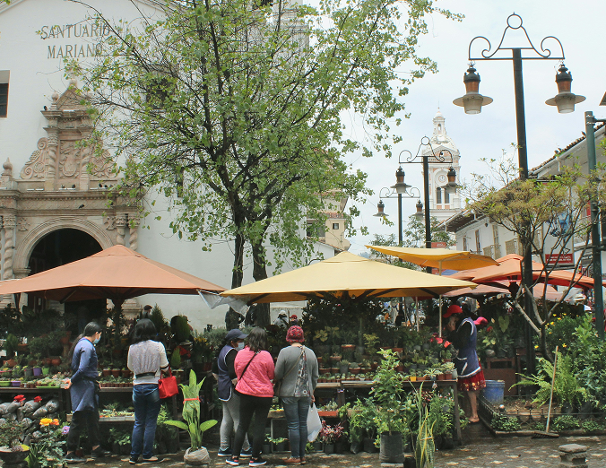 Cuenca: Healthier markets start with healthier vendors