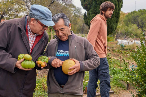 Madrid Community Garden