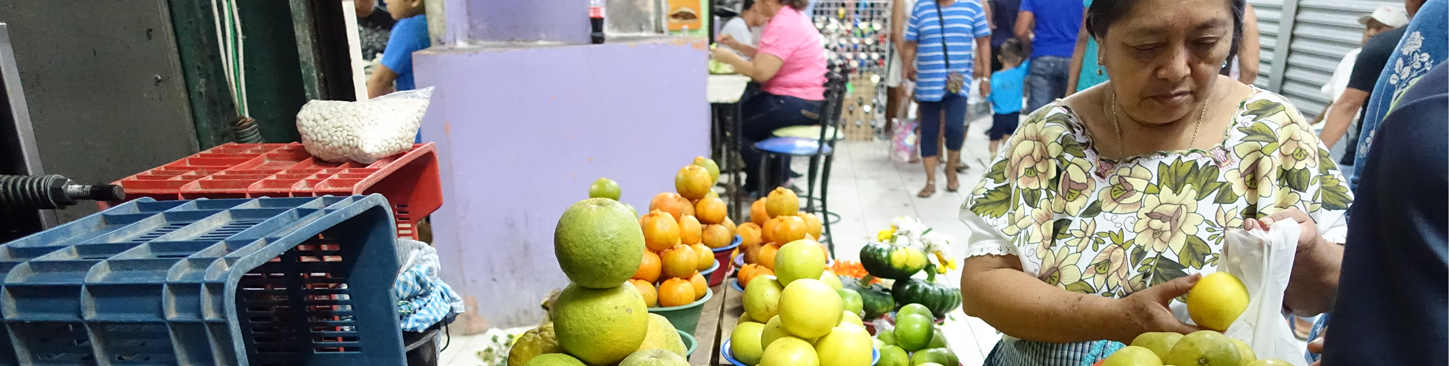Healthy urban food