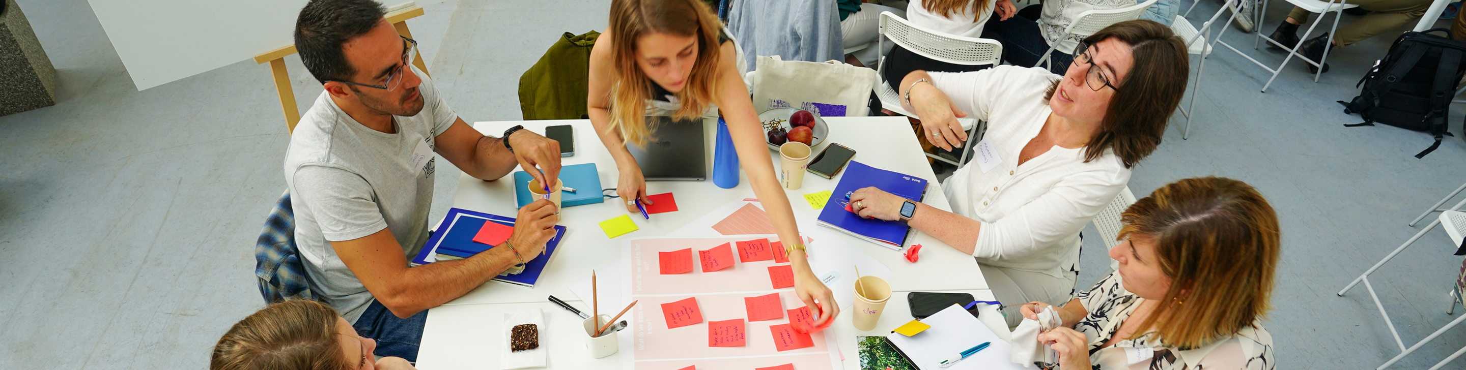 Designing coalitions