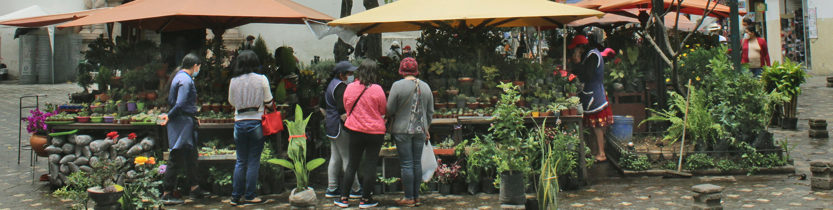 Cuenca: Healthier markets start with healthier vendors